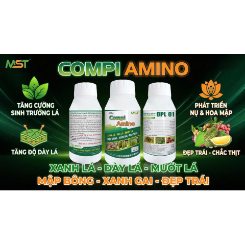 COMPI AMINO