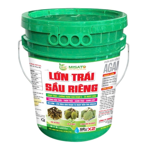 LỚN TRÁI SẦU RIÊNG 