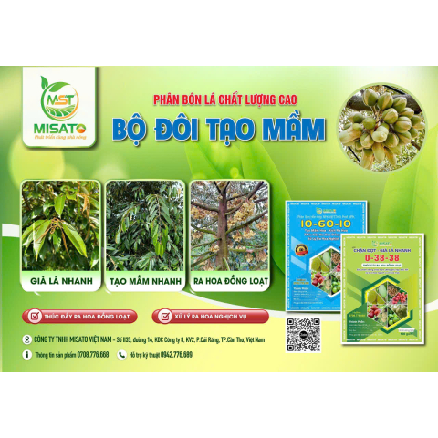 BỘ ĐÔI TẠO MẦM