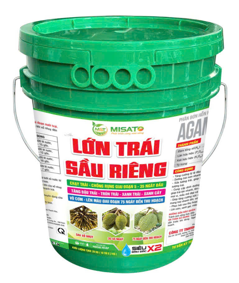 LỚN TRÁI SẦU RIÊNG 