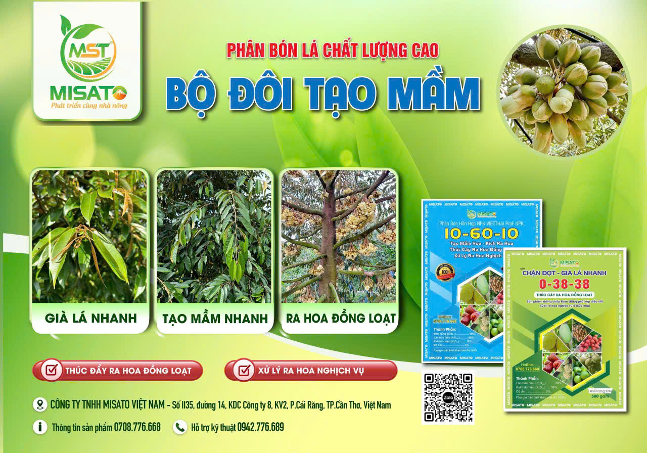 BỘ ĐÔI TẠO MẦM